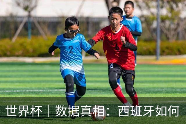世界杯｜数据真相：西班牙如何“技术性击倒”法国