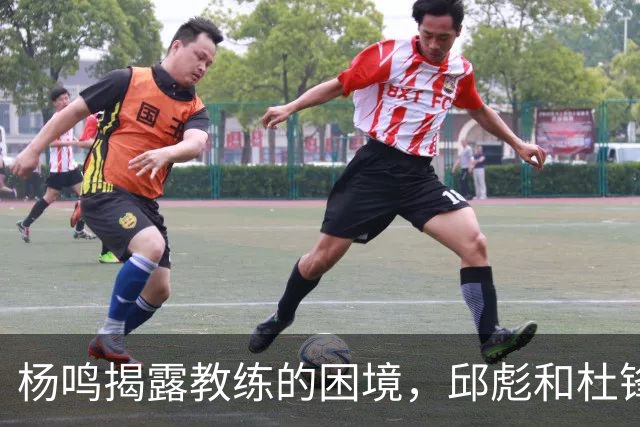 杨鸣揭露教练的困境，邱彪和杜锋的小团队行为是否成为自保策略？