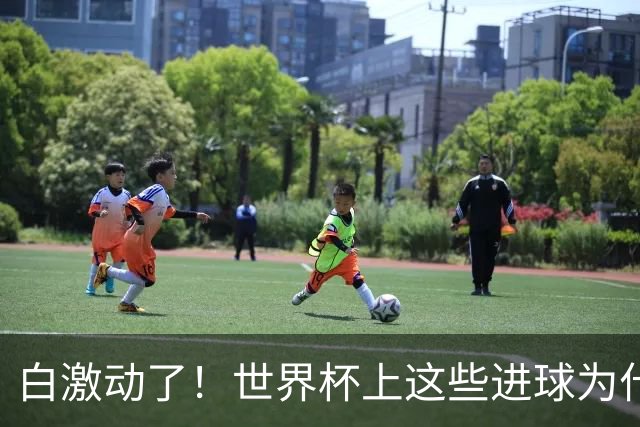 白激动了！世界杯上这些进球为什么会被判无效？
